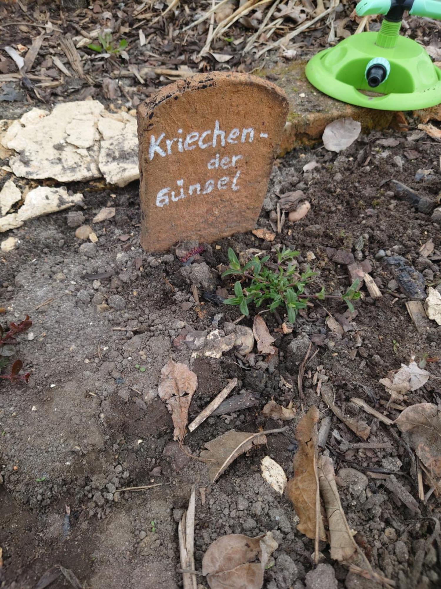 Ferienhof-Rietschen-Neuliebel Kültér fotó