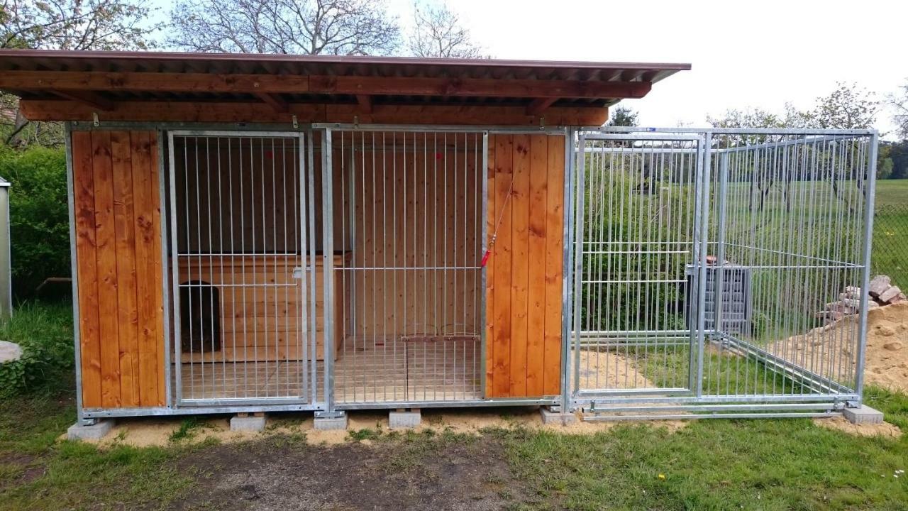 Ferienhof-Rietschen-Neuliebel Kültér fotó